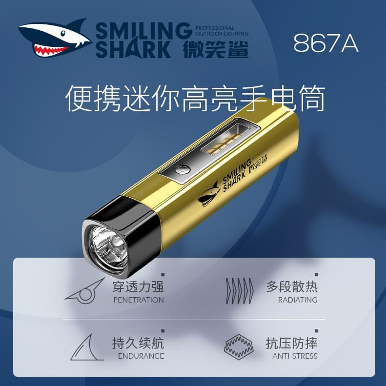 Outdoor ABS Flashlight, Ultra-Bright LED Light, Mini Flashlight, Fixed Focus, Camping Flashlight, Portable