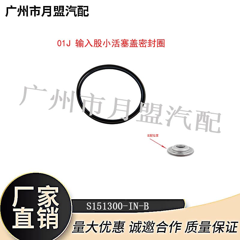 Transmission 01J Oil Ring Kit (1 oil ring + 1 rubber ring set) * Piston Input Shaft Small Piston Cover Seal