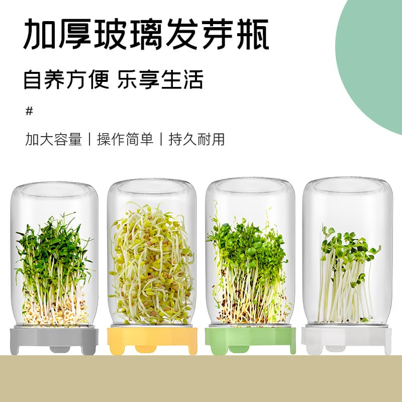 Amazon Mason Jar Sprouting Jar Wide Mouth Glass Jar for Growing Bean Sprouts