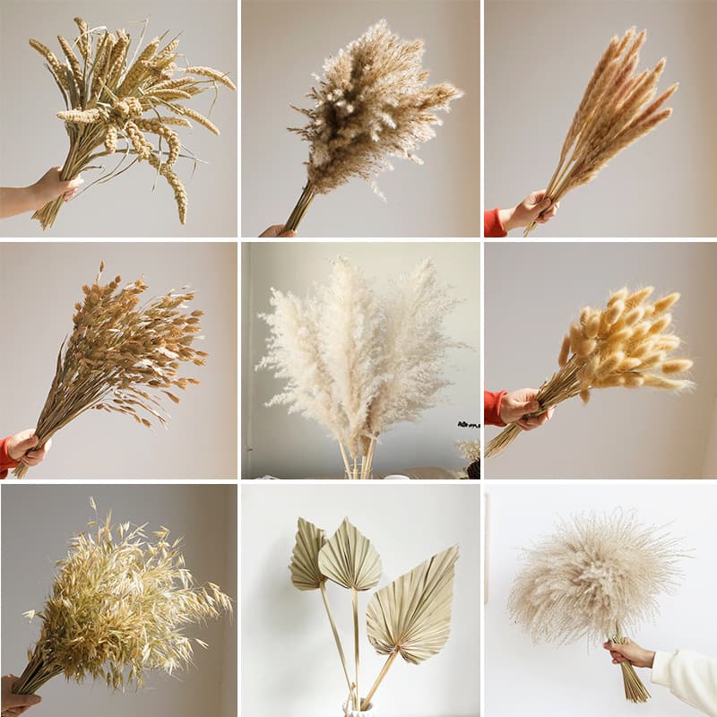 Wabi-sabi style dried flower natural reed and wheat bouquet, real flower palm fan decoration for living room, homestay showroom soft furnishing