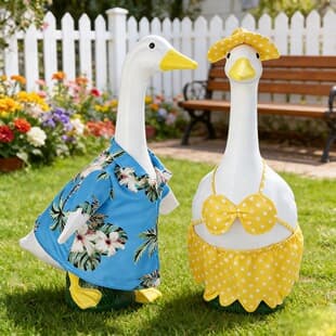 New Cross-Border Porch Goose Hawaiian Shirt White Goose Bikini Goose Couple Swimwear Factory Wholesale