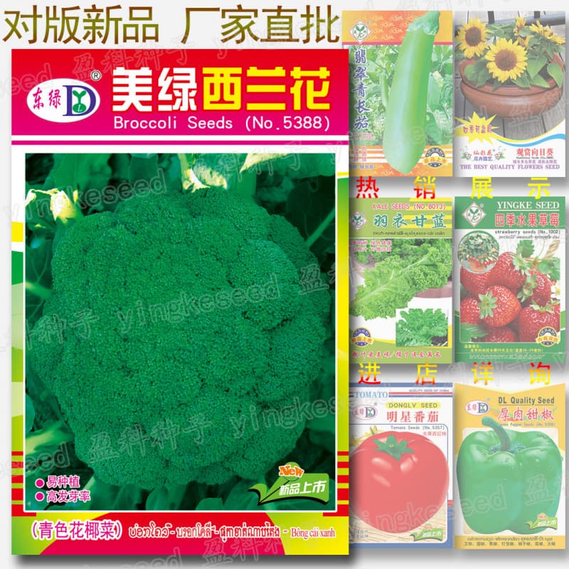 Beautiful green broccoli seeds, about 300 pieces, broccoli, broccoli, broccoli seeds, vegetable seeds wholesale
