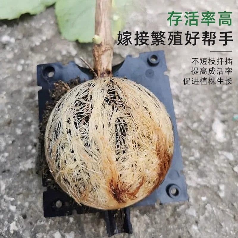 Rooting Device Plant Root Control Tool Fruit Tree Cutting Propagation Box High-Pressure Grafting Box Propagation Ball High-Pressure Box Pack