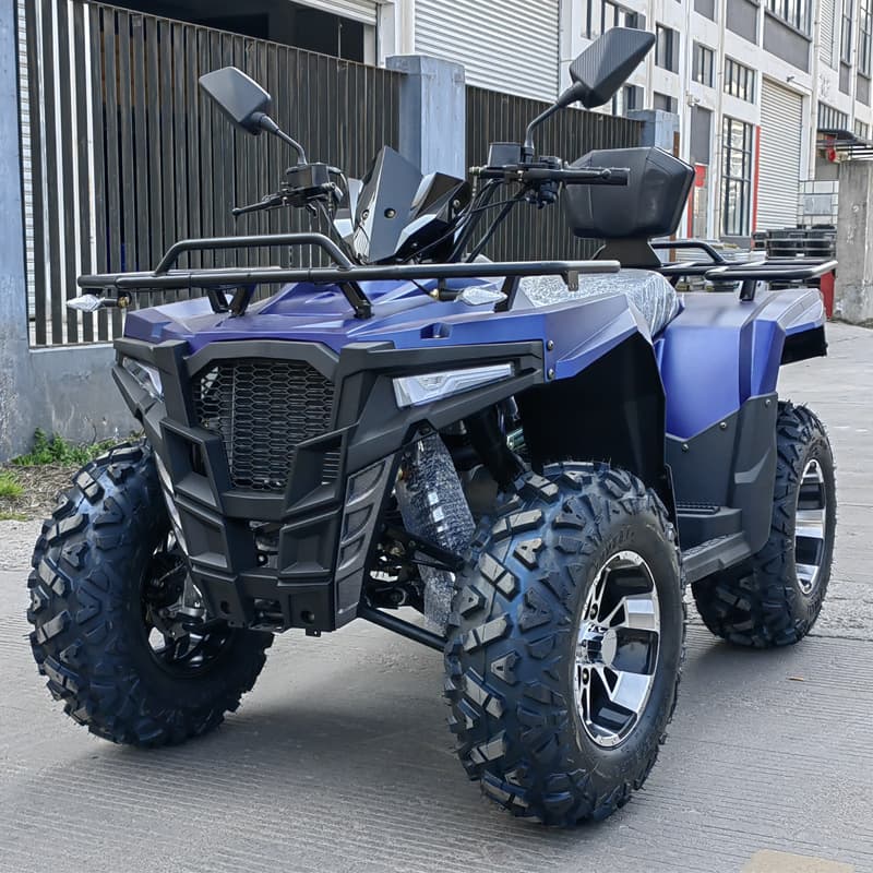 ATV Beach Buggy All-Terrain New Off-Road Four-Wheel Motorcycle Adult 200-300cc Water-Cooled Gasoline
