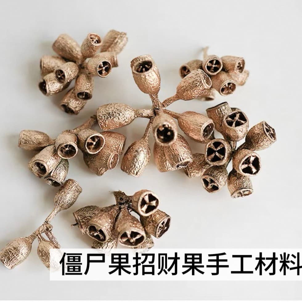 DIY Preserved Flower Zombie Fruit Fortune Fruit Dried Flower Material Kit Handmade Candle Specimen Home Decoration Ornament