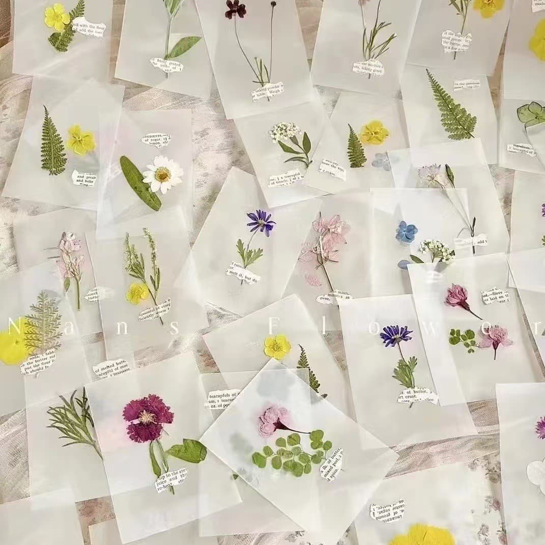 Translucent paper is also commonly used for food packaging, such as candies, tobacco and alcohol, pastries, and snacks
