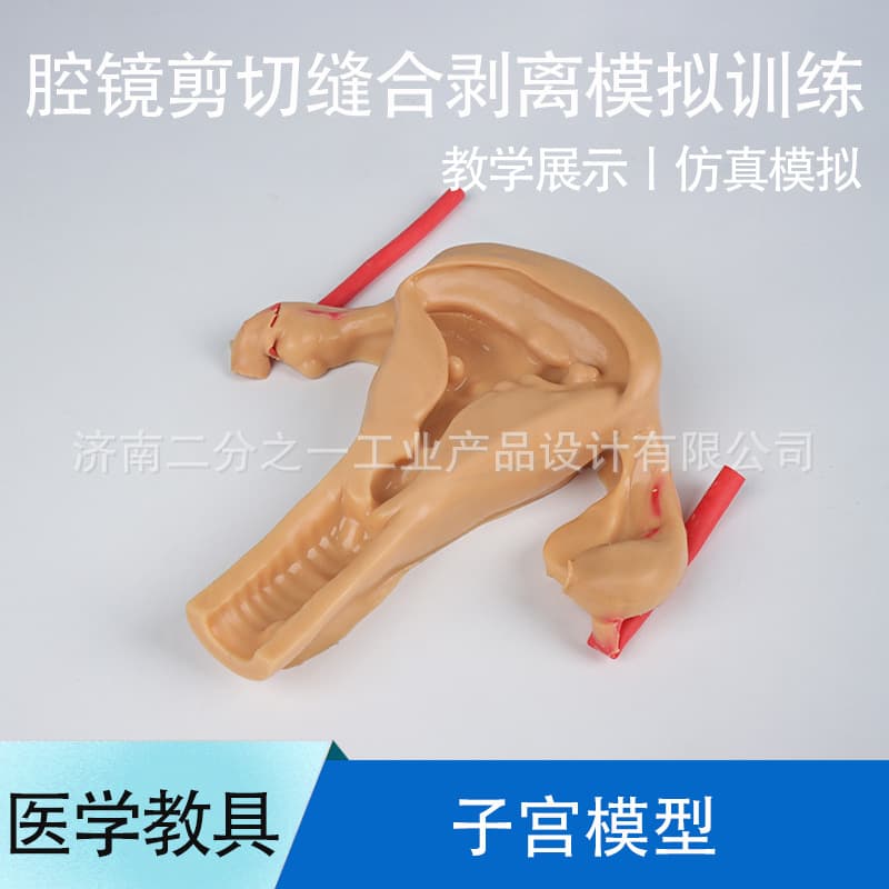 Obstetrics and gynecology hysteroscopic laparoscopic shearing, suturing and stripping simulation training exercise 3D silicone