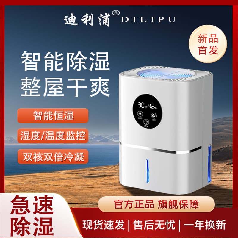 Dehumidifier for Home Use, Bedroom Air Moisture Remover, Indoor Drying and Defrosting Small Miracle Device