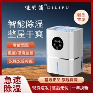 Dehumidifier for Home, Bedroom Air Dehumidifier, Moisture Absorber, Indoor Drying, Compact Room Dehumidifier with Defrost, Small Wonder