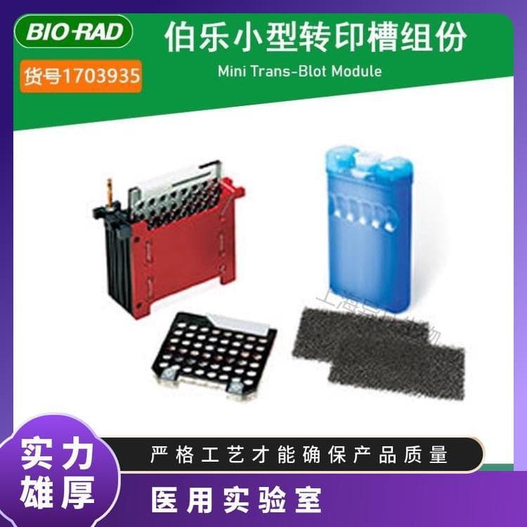 Bio-Rad 1703930 Protein Blotting Electrophoresis Tank Parameter Configuration Singapore Lainai Others