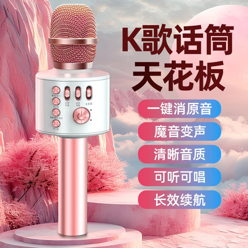 Microphone Speaker All-in-One Home Karaoke Mic Wireless Bluetooth Microphone for KTV