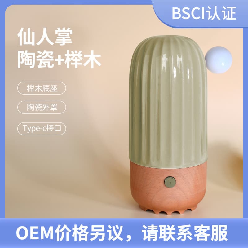 Wholesale USB Humidifier Home Desktop Small Aromatherapy Machine Ceramic Office Diffuser Cactus Diffuser Silent