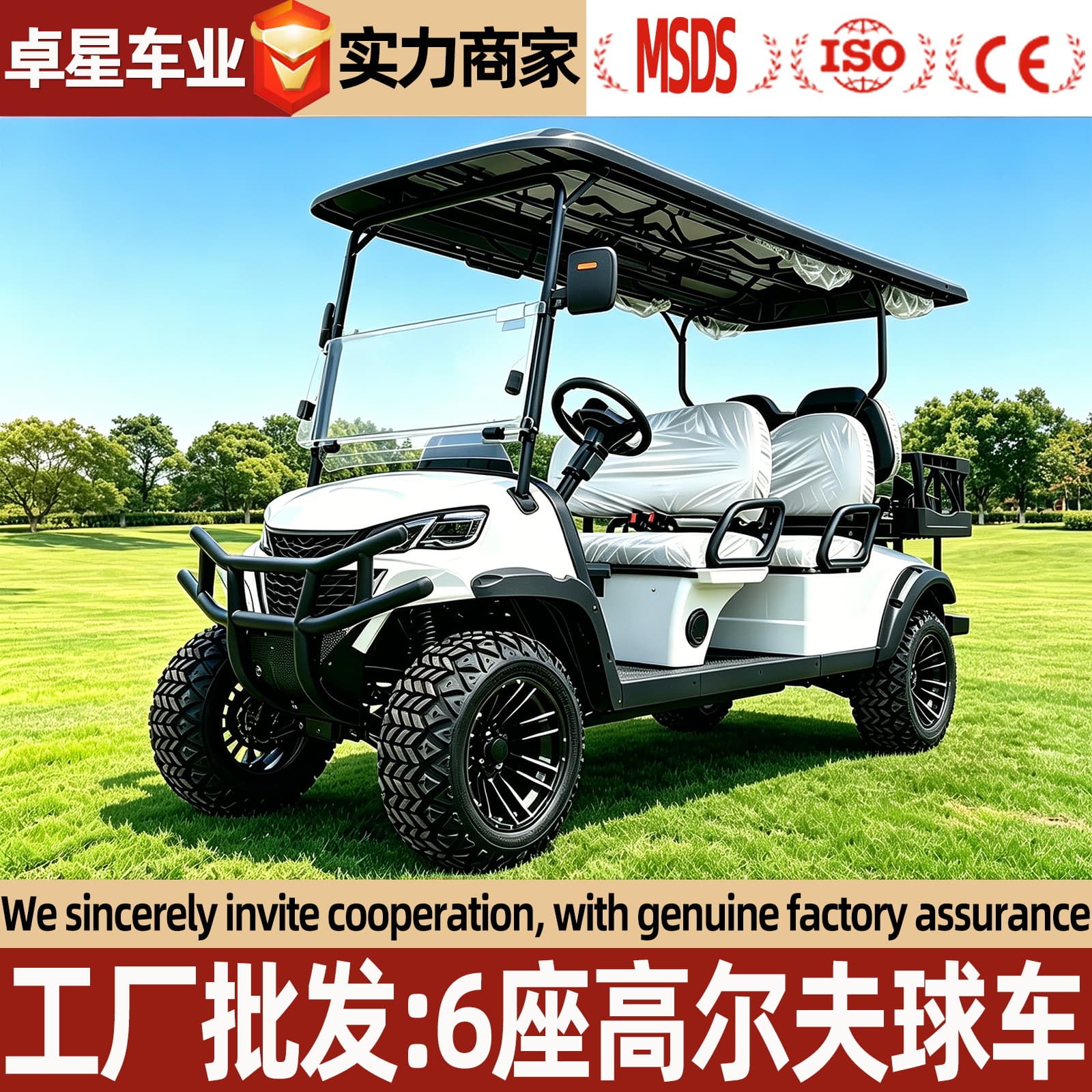 6-Seat and 8-Seat Electric Golf Cart for Export, Tourist Sightseeing Car for Scenic Spots, Hotels, and B&Bs