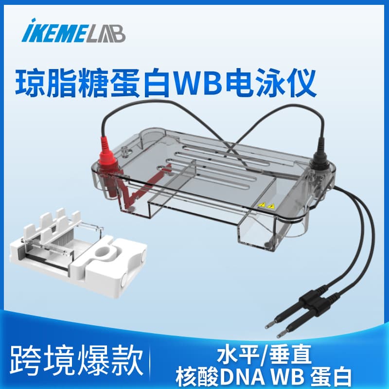 Horizontal Vertical Electrophoresis Apparatus Protein WB Agarose Nucleic Acid DNA RNA Gel Blotting Membrane Gel Running Electrophoresis Tank