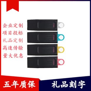 Kingston DTX USB 3.2 Flash Drive 32GB 64GB 128GB Cap Design Business 256G Office High-Speed USB Drive
