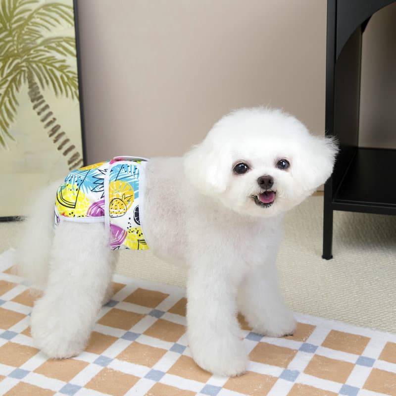 Pet Dog Physiological Pants Teddy Safety Sanitary Pants Menstrual Pants for Female Dogs 25 Fruit Physiological Pants
