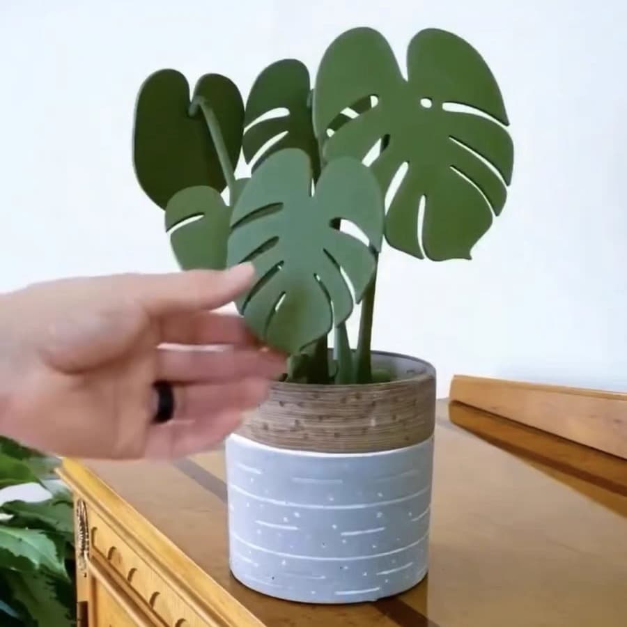 Monstera Coaster Plant with Magnet 3D Printing Cross-Border Bestseller