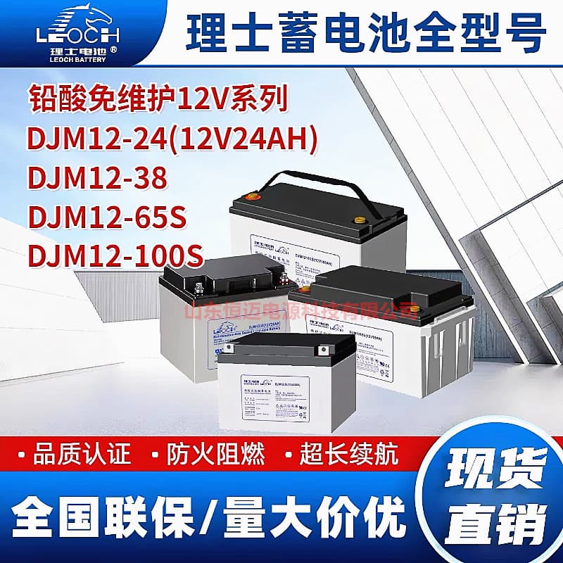 LEOCH Battery DJM12V24/38/65/100AH for DC Panels in Server Rooms, UPS/EPS Power Supply