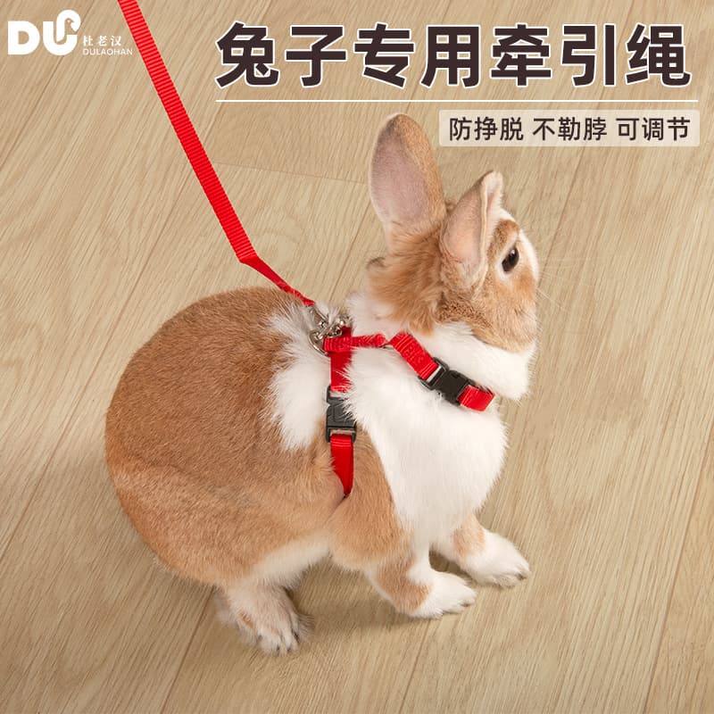 Small Pet Rabbit Lead Rope W-Shaped Chest Harness Polyester Material Durable Pet Leash for Rabbits Cats And Dogs
