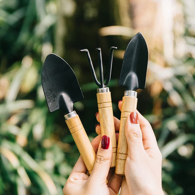 Three-piece set of gardening tools, flower gardening rake, vegetable planting, succulent small shovel tool, small spade, potting supplies