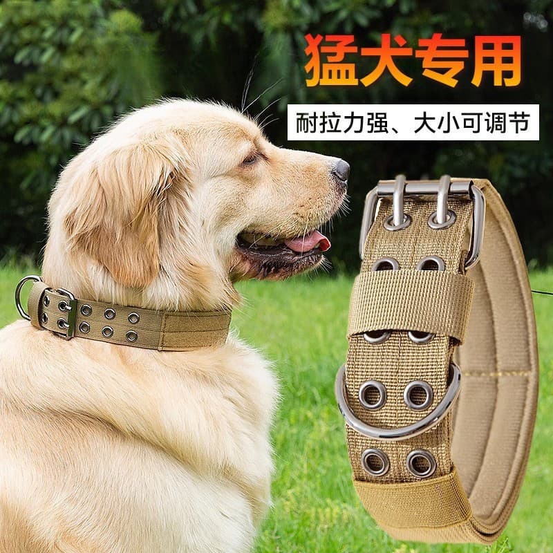 Pet Dog Tactical Collar Medium Large Dog Escape Proof High-End Export Alloy Dog Collar