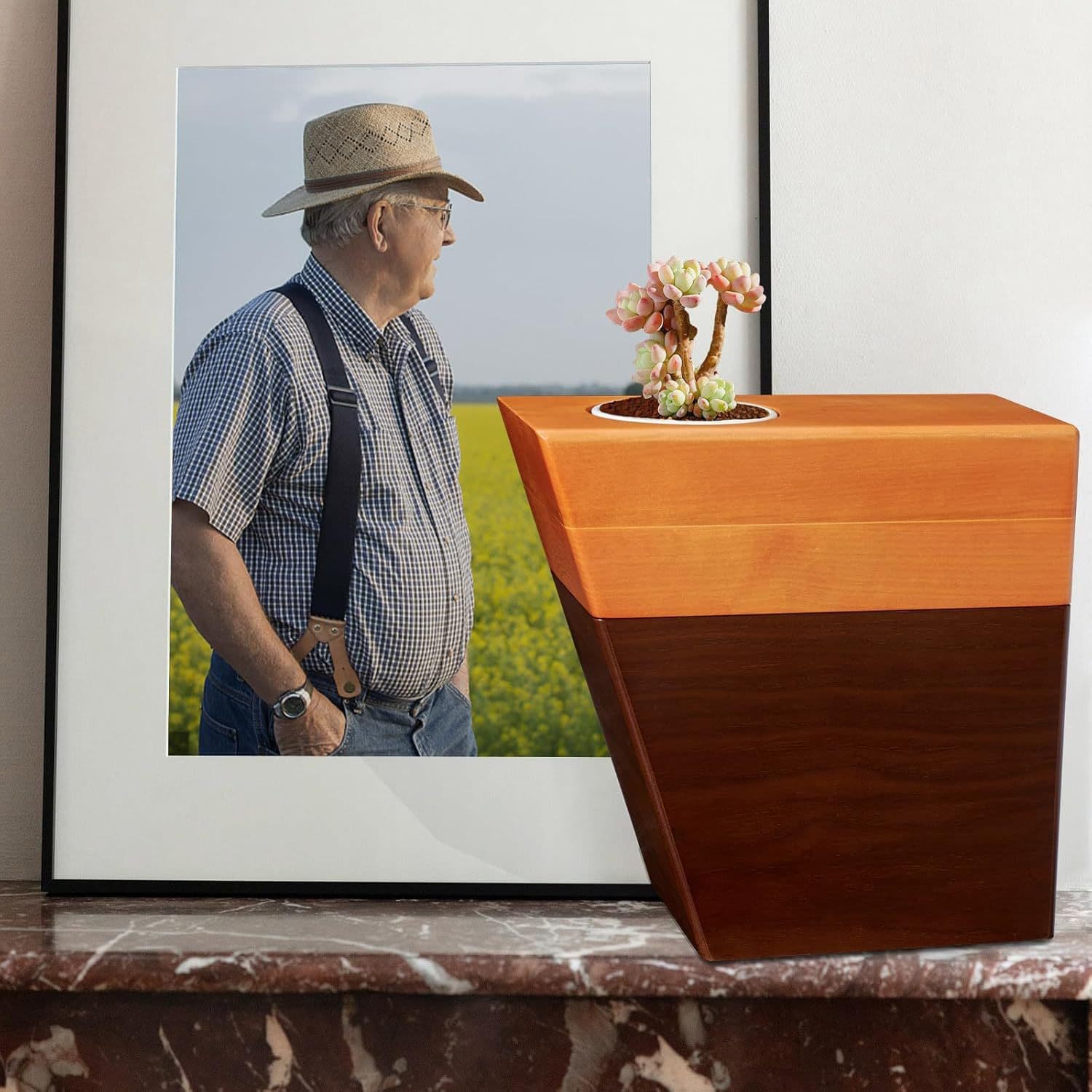 Two-tone solid wood ash box with succulent planting slot, creative memorial container, funeral commemorative urn.