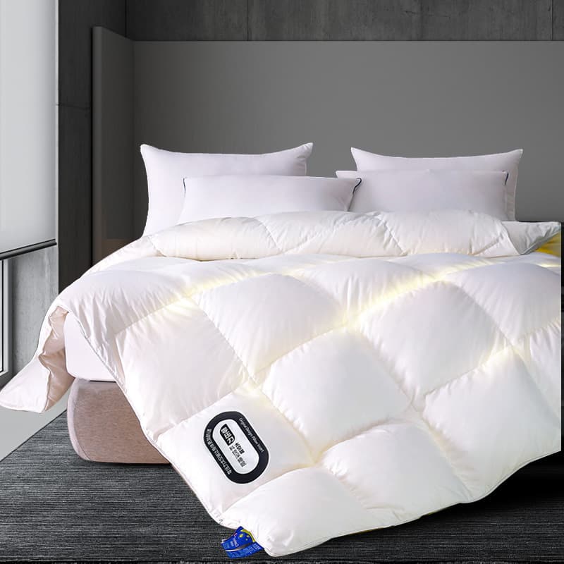 2024 New Cloud-Soft Lightweight Starry Sky Space Quilt, Winter Quilt, Quilt Filler