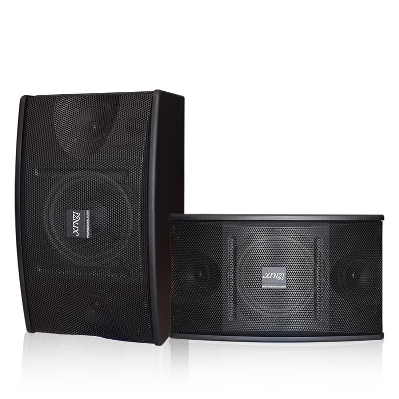 Wholesale 8-inch and 10-inch High-Power Home KTV Package Speakers for Multimedia, Fitness, Meetings, and Dance Studios