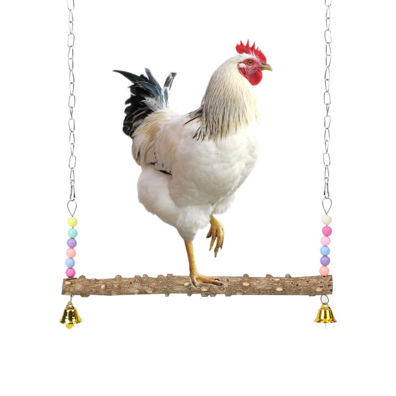 Parrot swing, pet chicken, hen, rooster, colored beads, pepper wood standing stick swing, claw grinding to relieve boredom