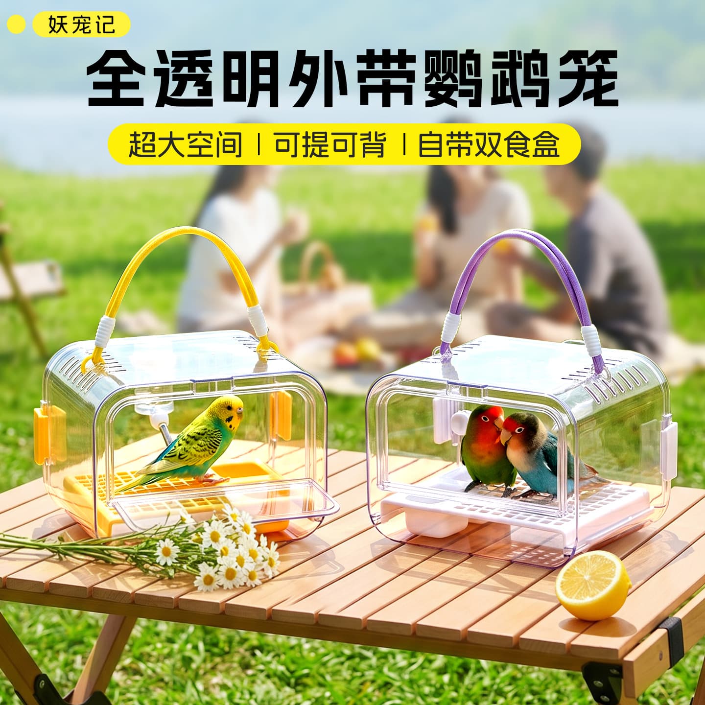 Parrot out-cage outdoor large space peony tiger skin small sun portable portable panoramic take-out bird cage
