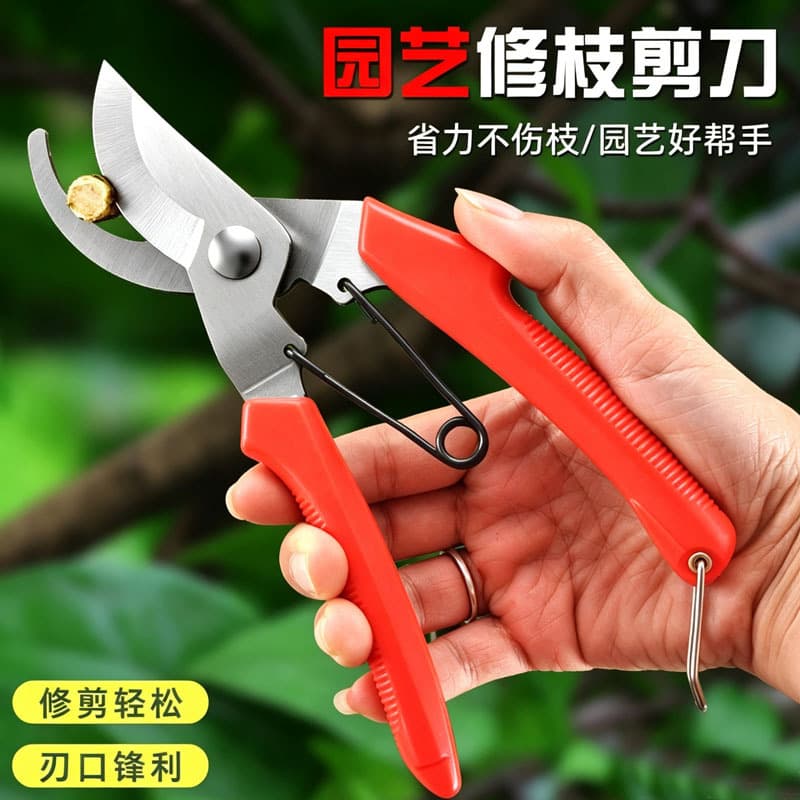 Gardening pruning scissors, stainless steel thick branches, fruit branch shears, fruit picking scissors, garden tools, floral shears, spot wholesale