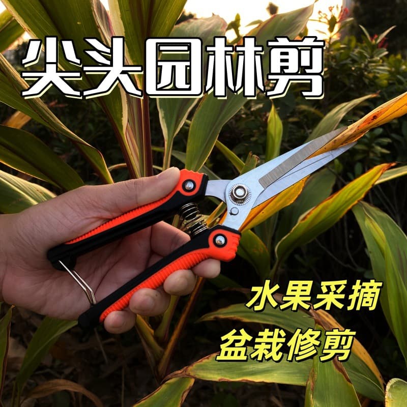Cross-border Garden Pruning Shears, Branch Scissors, Fruit Picking Scissors, Grape Scissors, Flower Picking Scissors, Labor-saving Gardening Shears, Agricultural Scissors