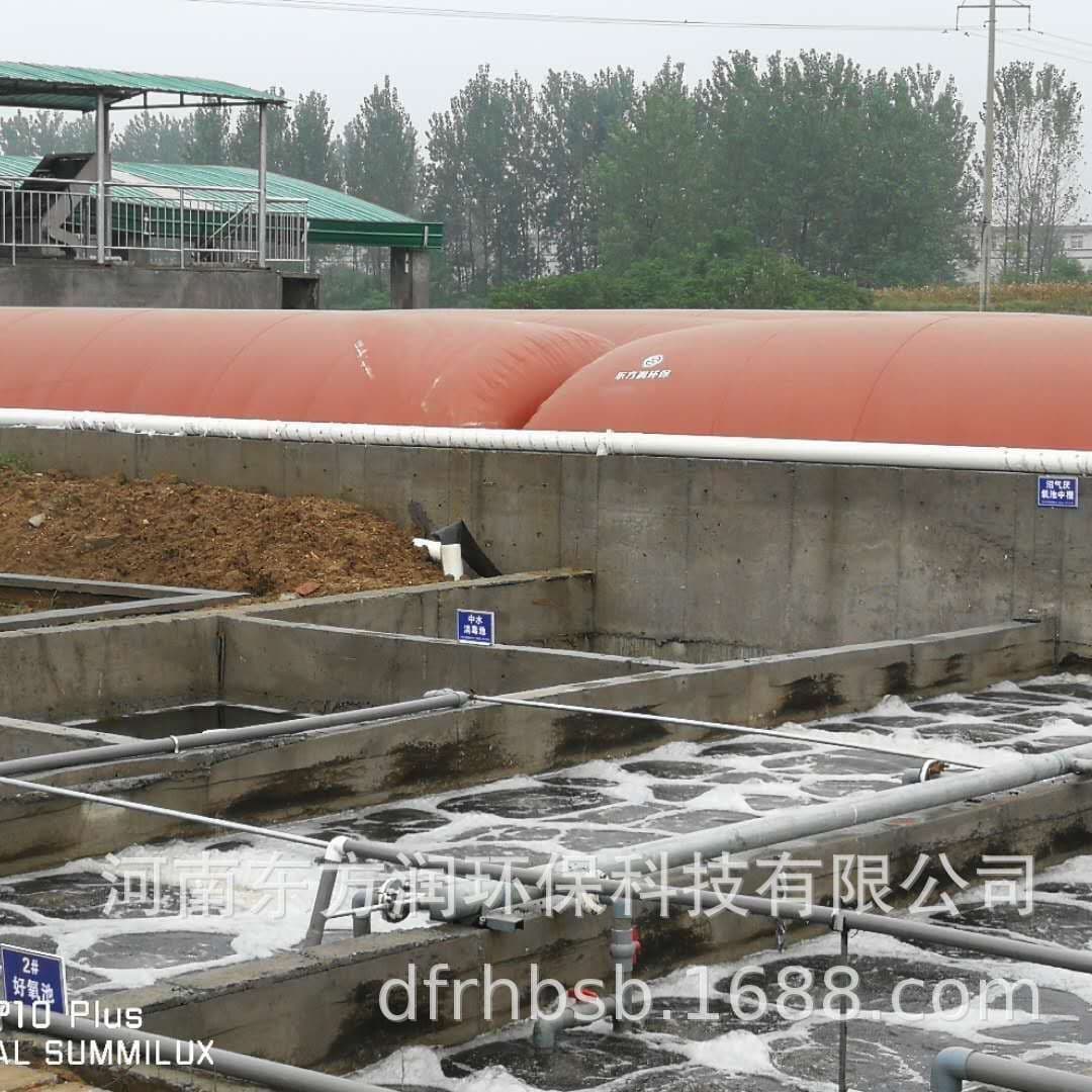 Biogas Engineering/Equipment