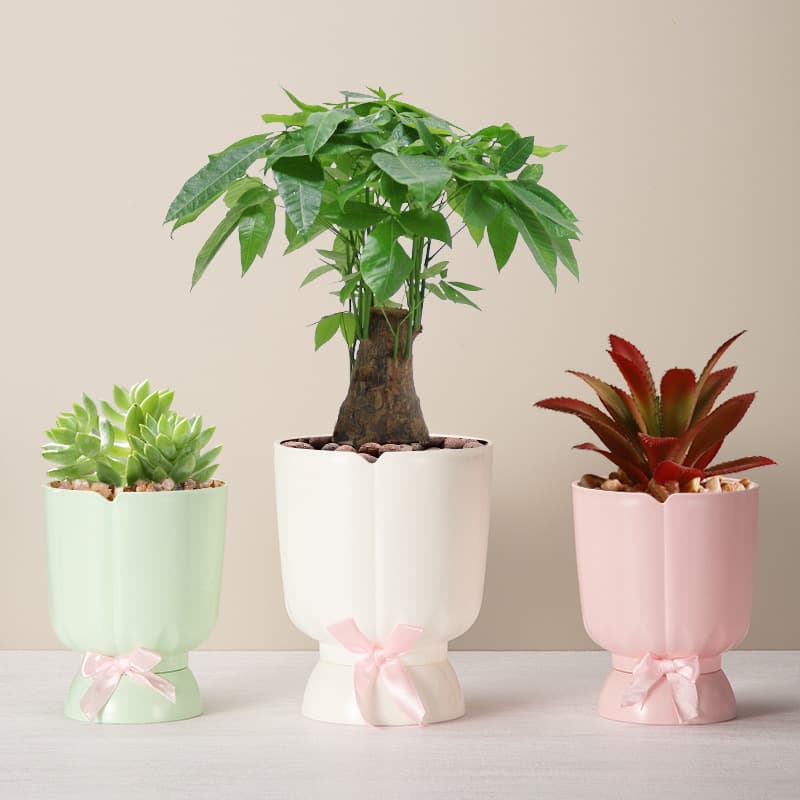 Plastic Ceramic Simulation Flower Pots Living Room Decorative Vases Detachable Home Decoration Flower Bottles Wholesale Price