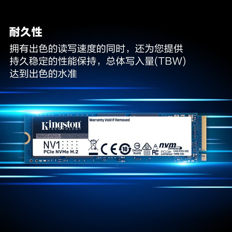 KingSton NV1 NV2 SSD 1/2TB Capacity for Laptop and Desktop