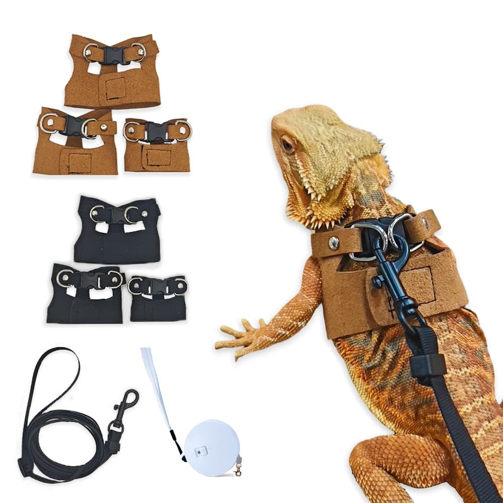 Cross-border popular lizard traction rope, reptile pet outdoor harness, chameleon, squirrel split lizard traction