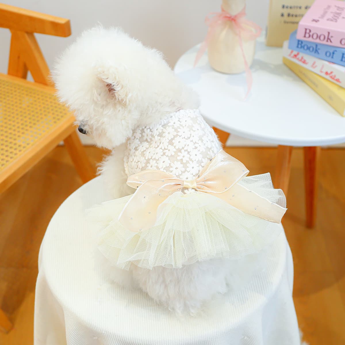 PETCIRCLE Pet Circle Spring/Summer Pet Clothing Dog Cat Outfit Forest Wedding Dress