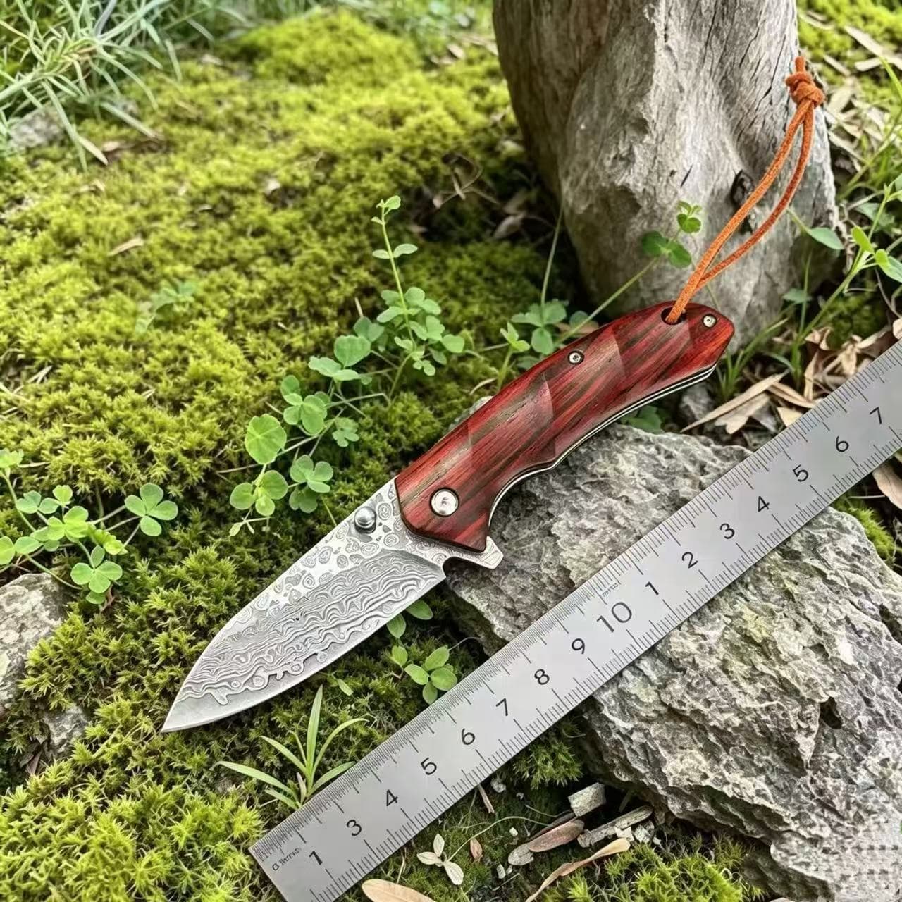 Outdoor Knife, High Hardness Small Knife, Wilderness Self-Defense Survival Knife, Sharp Multi-Function Portable Folding Knife, Fruit Knife