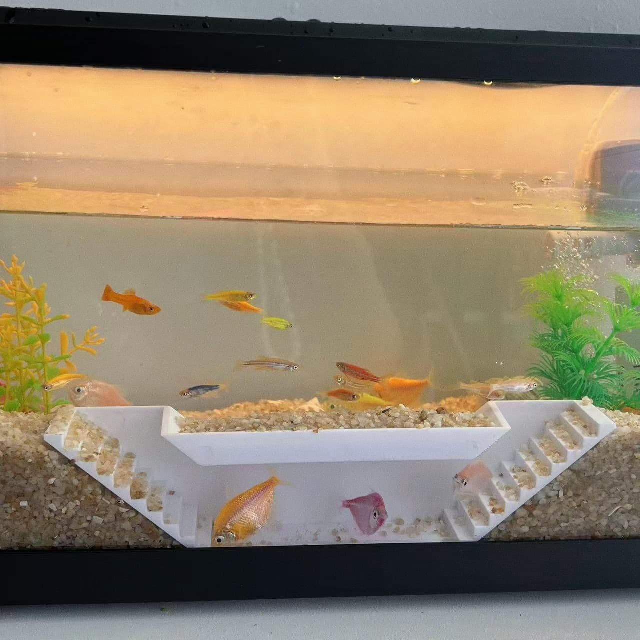 New Cross-Border Aquarium Double-Hole Fish Viewing Cave Tunnel Fish and Shrimp Hiding Place Aquarium Decoration Tank Landscaping