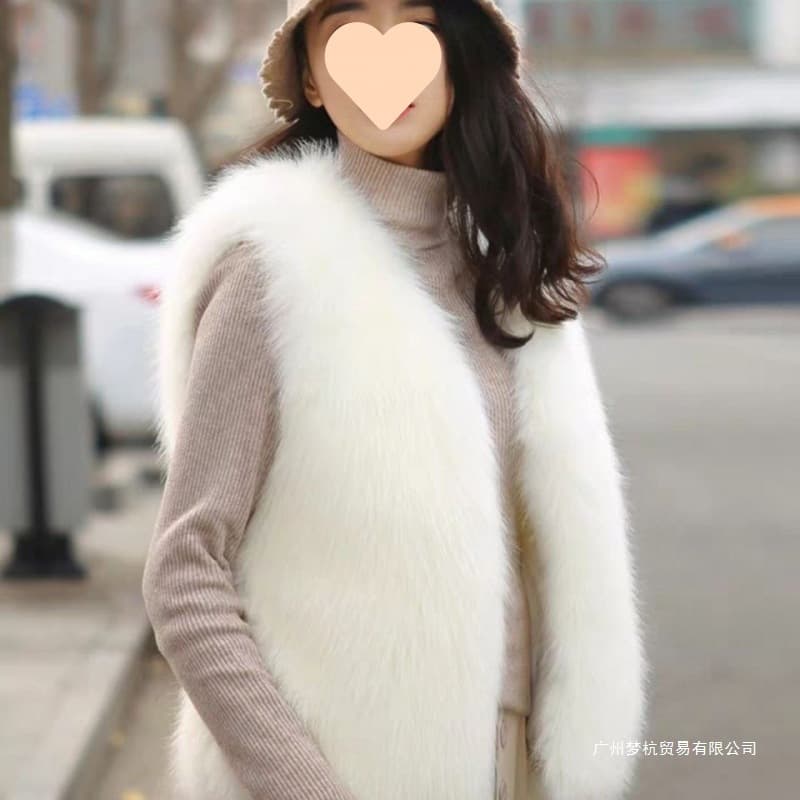 Faux Fur Vest Coat Autumn Winter New Style Versatile Korean Vest Plush Cotton-Padded Thick Southeast Asia