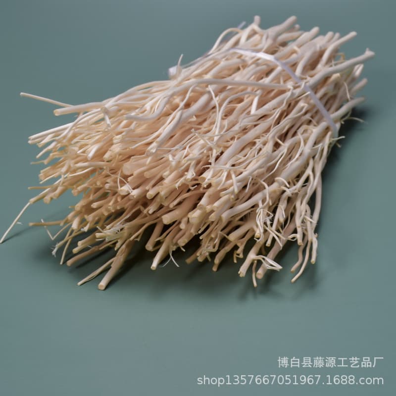 Supply high quality Indonesian rattan/dragon willow volatile stick natural willow branch aromatherapy volatile branch dragon willow