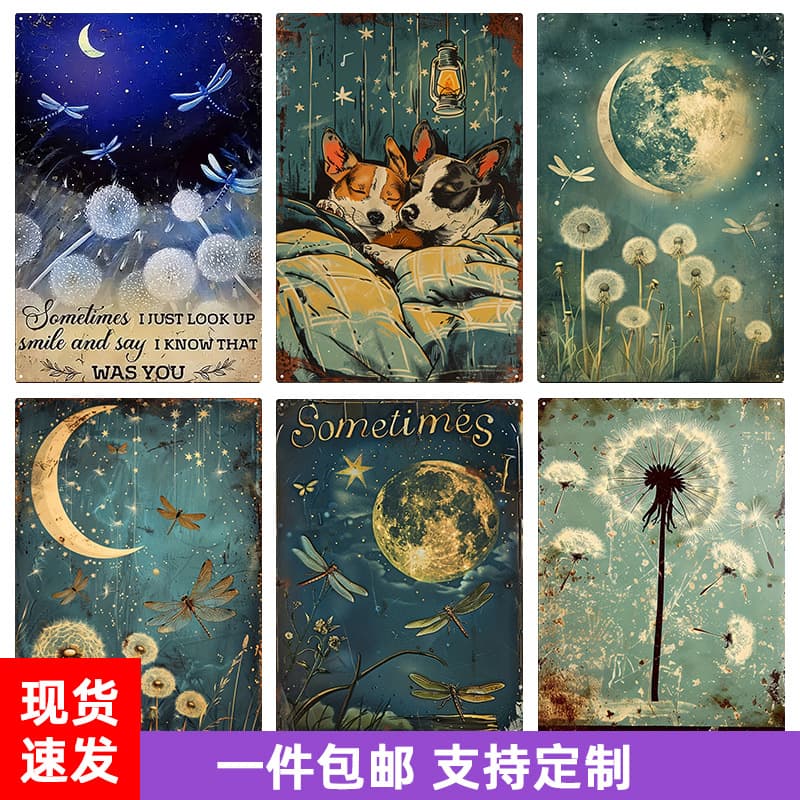 Cross-border retro iron sheet painting American country style nostalgic aesthetic artistic conception garden pastoral cafe wall decoration wall decoration