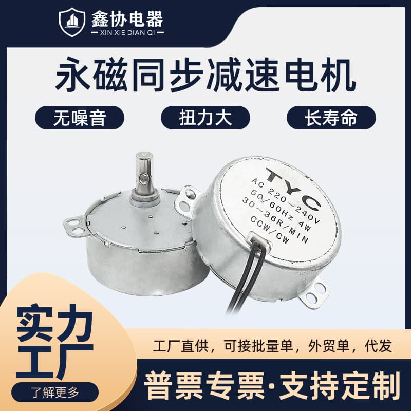 Low-Speed Oscillating Synchronous AC Motor 220V 4W Miniature Fan Motor Permanent Magnet Synchronous Electric Motor