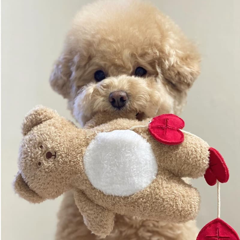 Small Dog Teddy Bear Soft Puppy Accessories Korean Stuffed