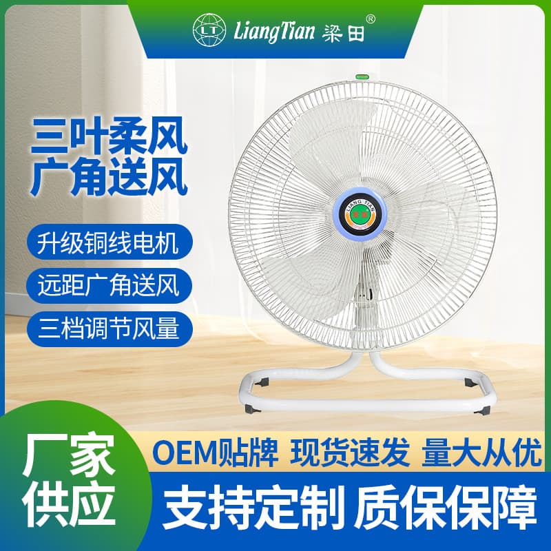 Liangtian Electric Fan Industrial Fan High Wind Floor Fan for Home Restaurant Desktop Crawling Floor Fan High Power