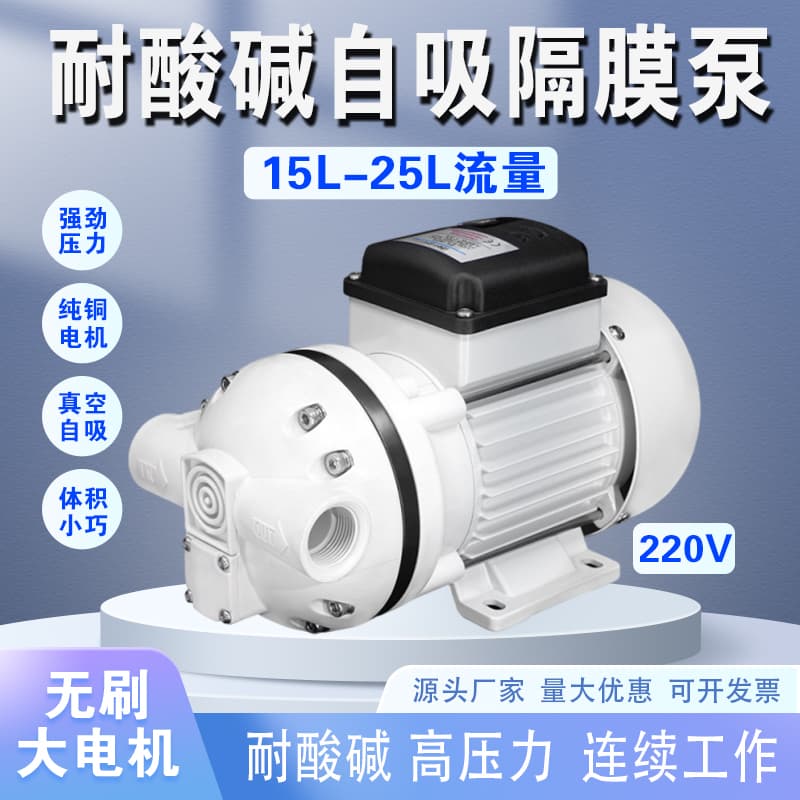 Electric Diaphragm Pump 220V Small Acid-Alkali Resistant Plastic Circulation Pump Hypochlorous Acid Dosing Pump Water Pump