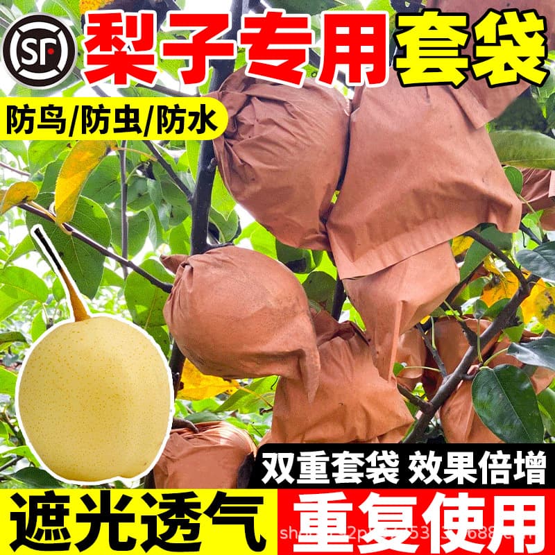 Pear bagging kit, Qiuyue pear fruit bagging kit, special paper bags for strawberries, grapes, and peaches, insect and bird prevention device.