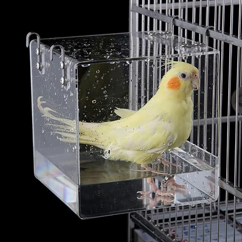 Factory Direct Bird Bath Basin Acrylic Thick Transparent External Hanging Cross-Border Hot Seller In Stock