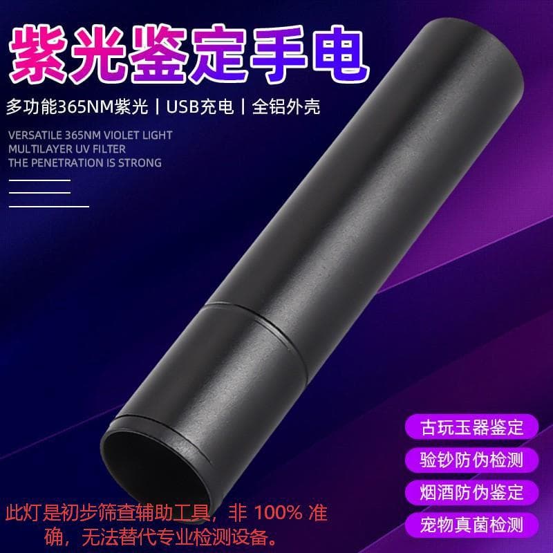 UV Lamp Identification Purple Light Flashlight Charging Banknote Checker Nail Curing Cat Fungus Test Wood's Lamp