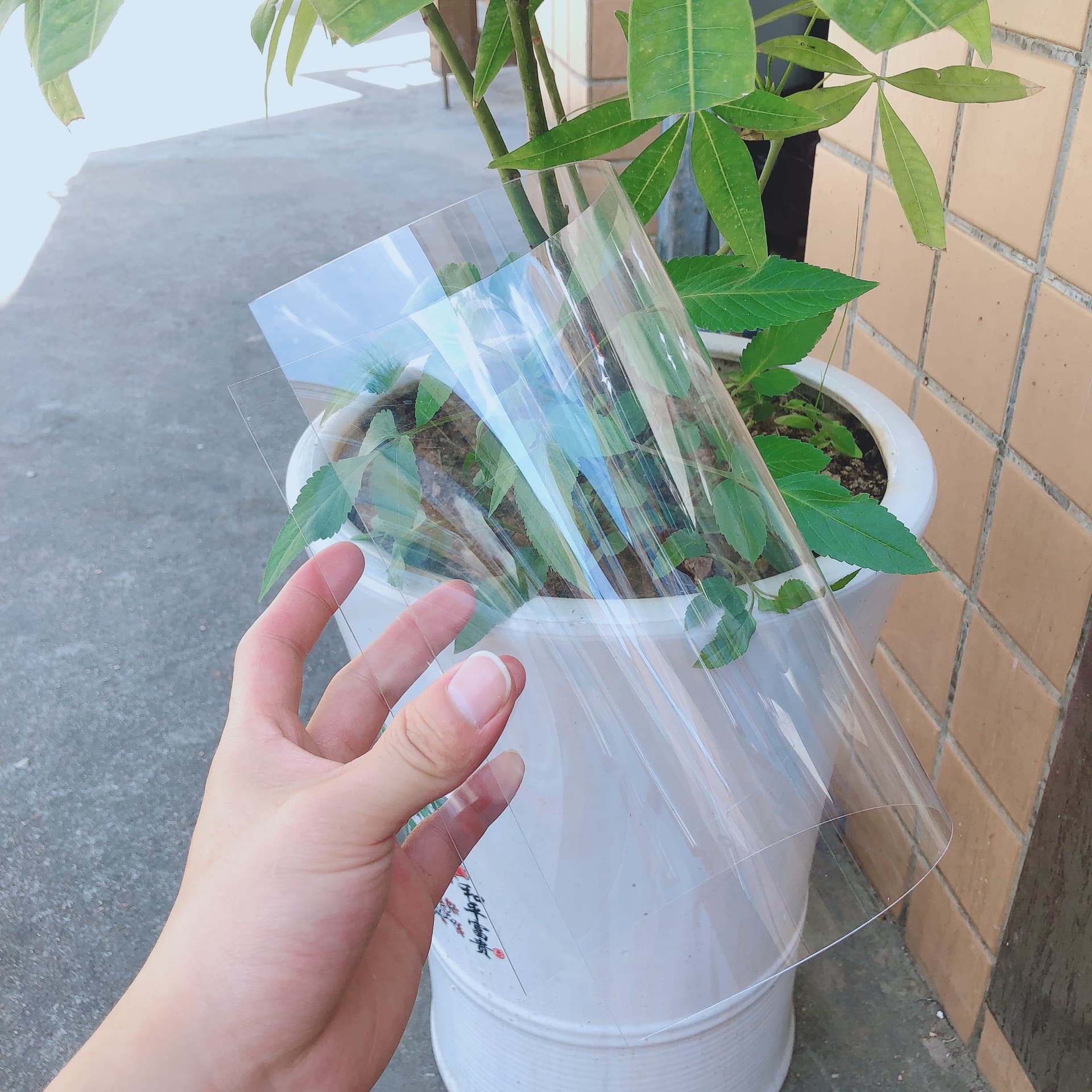 High-transparency PVC sheet, transparent window film for picture frames, flame-retardant insulating film, environmentally friendly PVC plastic sheet.
